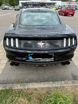 Ford Mustang 5.0 Ti-VCT V8 Black Shadow Edition A... - Ford Mustang Unfallwagen