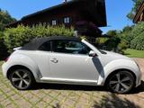 Volkswagen Cabrio Design 1.4 TSI *Xenon*Navi*SHZG*PDC* - Volkswagen Beetle: Weiß