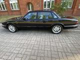 Jaguar XJ Executive 4.0 Executive TOP Zust.Neue Motor - Jaguar: 4.0