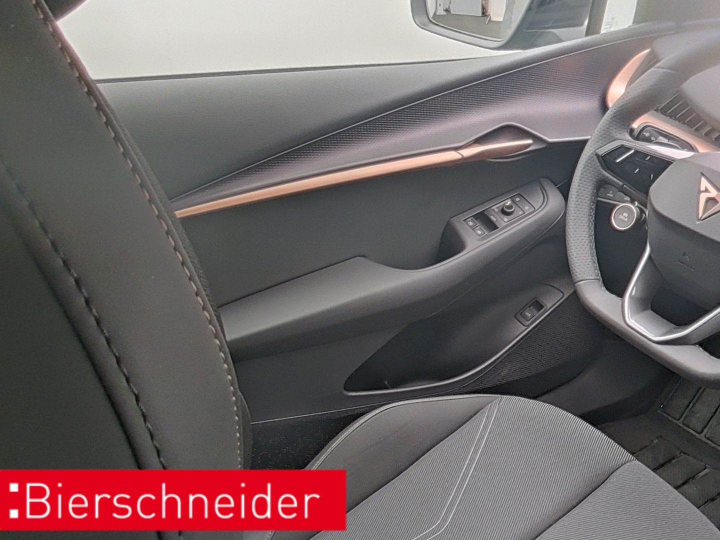 Cupra Tavascan - Bild 14