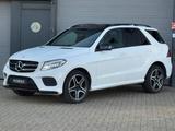 Mercedes-Benz GLE 350 d 4MATIC AMG Sport Edition