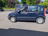 Fiat Panda - Fiat Panda aus 2010