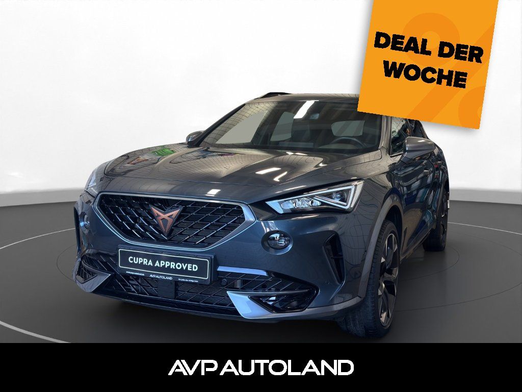 Formentor 2.0 TSI DSG 4Drive | NAVI | LED | AHK