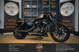 Harley-Davidson XL883N-Sportster-883-Iron-Jekill&Hyde-TOP! - HARLEY-DAVIDSON SPORTSTER IRON