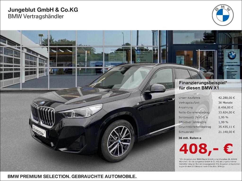 BMW X1 20i sDrive M Sport Park-Assist/AHK/Aktivsitz/