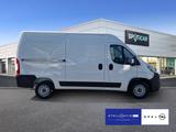 Opel Movano Cargo 3.3 L2H2 HDi140 *Navi*PDC - Angebote
