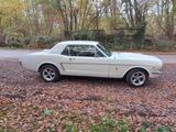 Ford Sehr gepflegter Mustang Oldtimer Baujahr 1965 - Ford Mustang: Old