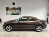 Audi A5 Cabrio 1.8 TFSI 170 CV Ambiente - Cambio - Audi A5: Braun, Cabrio