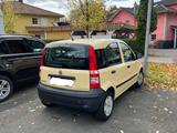 Fiat Panda - Fiat Panda: Gelb