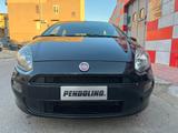 Fiat Punto 1.4 S&S 8V 5 porte Easy - Fiat Punto EASY mit Benzin-Antrieb