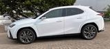 Lexus UX 250H F Sport Leder Kamera SHZ - Lexus UX Gebrauchtwagen