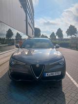 Alfa Romeo Stelvio 2.0Turbo TOP *280PS*Q4*Leder*Navi*xenon - Alfa Romeo: Allradantrieb