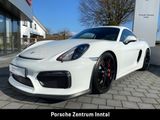 Porsche Cayman (981) GT4 |Clubsportpaket |Sport Chrono - Porsche Cayman: Sport Chrono