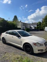 Jaguar XF S-Sport 3,0 Diesel - gebrauchte Jaguar XF aus dem Jahr 2009