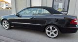 Mercedes-Benz CLK 500 CLK Cabrio CLK 500 - Mercedes-Benz CLK 500: Cabrio