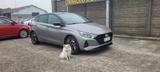 Hyundai i20 1.0 T-GDI 48V iMT Bose - Hyundai i20 mit Hybrid-Antrieb