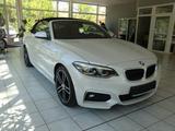 BMW 225 d M Sport, Leder braun, Navi - BMW 2er Reihe mit Diesel-Antrieb: Cabrio