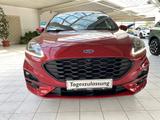 Ford Kuga ST-Line X PHEV+LED+B&O+NAV+DAB+BLIS+PDC+ACC - Ford Kuga Tageszulassungen