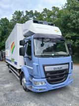 DAF LF 260 FA ** Carrier Supra 1250 MT-X ** - DAF Kipper