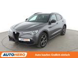 Alfa Romeo Stelvio 2.2 JTDM Q4 B-Tech Aut.*NAVI*BI-XENON* - Alfa Romeo aus 2020