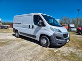 Fiat Ducato 250, L2H1, CNG - Fiat Ducato l 250