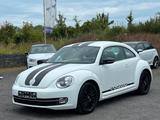 Volkswagen Beetle Lim. Sport  NAVI+SHZ - Volkswagen Beetle: Leder