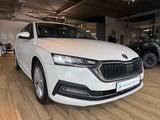 Skoda Octavia Style/NAVI/TEMPOMAT/ANHÄNGERLUPPLUNG - Skoda Octavia aus 2024