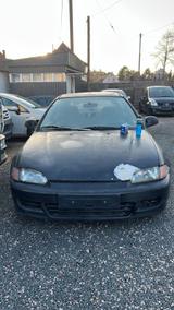 Honda HONDA CIVIC EG3 - Honda Civic: Eg