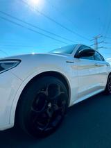 Alfa Romeo Stelvio 2.2 Diesel 16V 154kW Estrema AT8-Q4 - Alfa Romeo Gebrauchtwagen in Mannheim