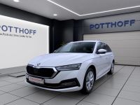 Skoda Octavia - Vorschau Bild 2