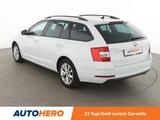 Skoda Octavia 1.4 TSI Ambition Aut.*TEMPO*PDC*SHZ* - Skoda Gebrauchtwagen in Duisburg