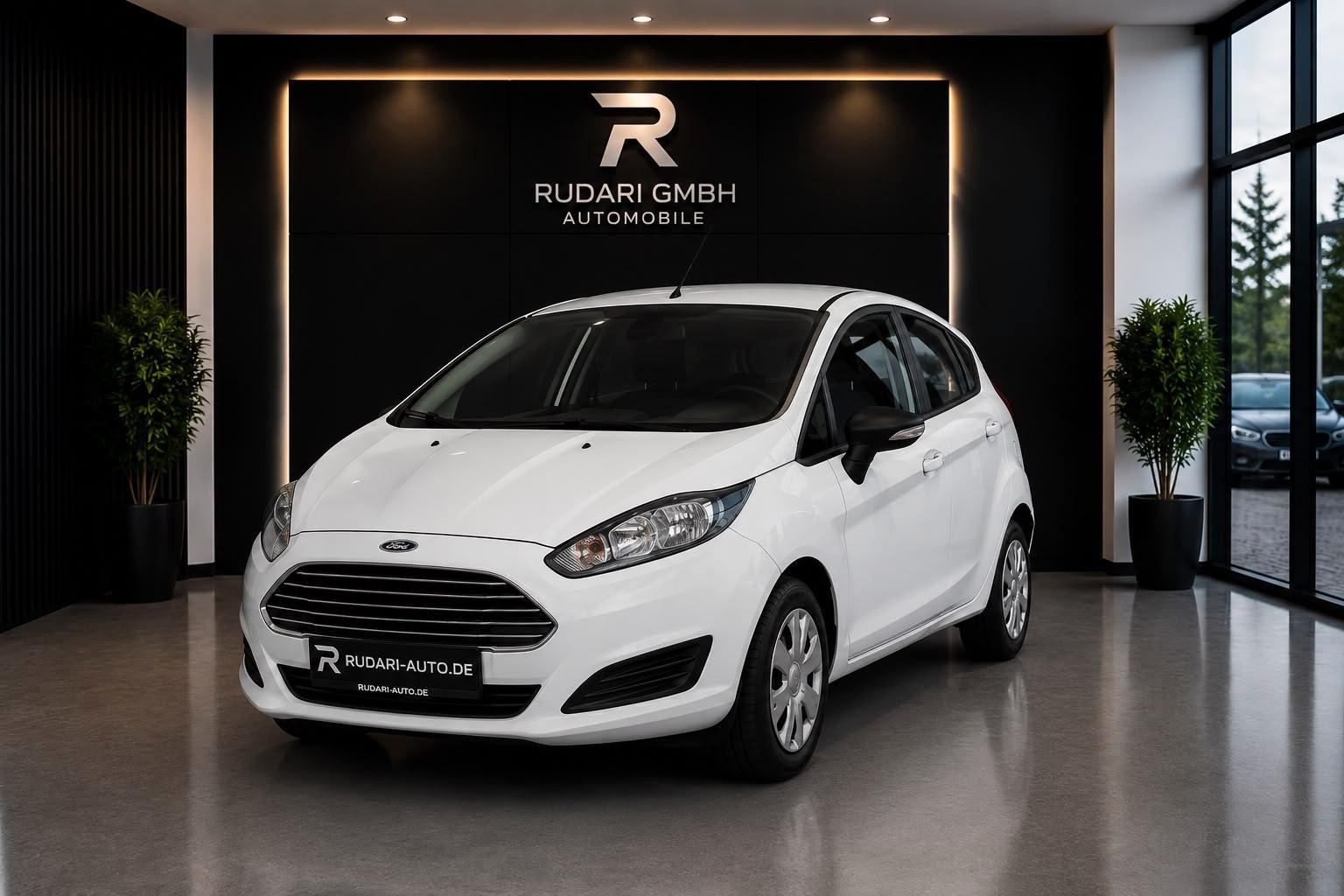 Ford Fiesta Ambiente