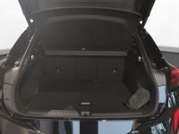 Cupra Terramar - Vorschau Bild 20