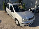 Fiat Panda 1.2 Emotion OK NEOPATENTATO! - Behindertengerechte Fiat Panda