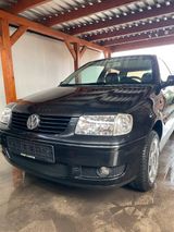 Volkswagen VW Polo Highline Colour Concept, 6N2, Lede... - Volkswagen Polo: Concept