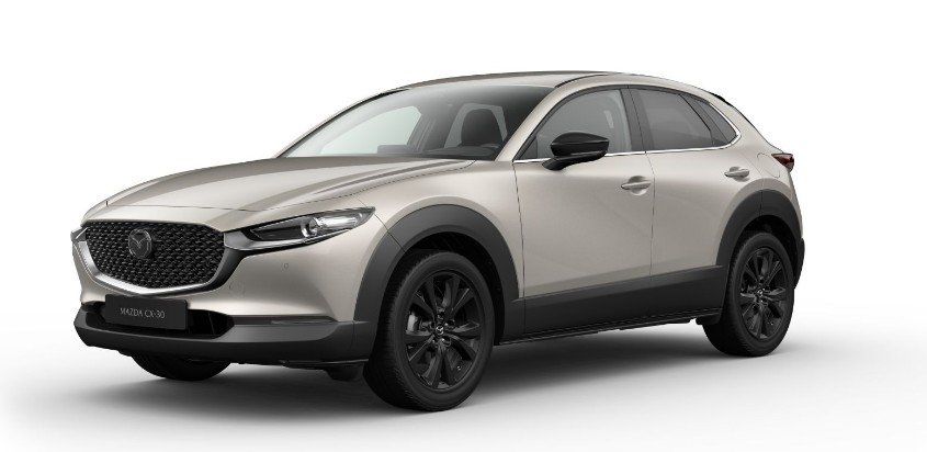 Fahrzeugabbildung Mazda CX-30 2.5i 140PS Homura