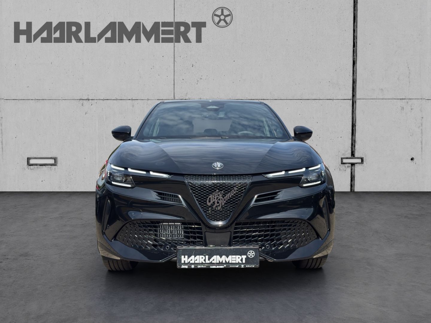 Alfa Romeo Junior - Bild 4
