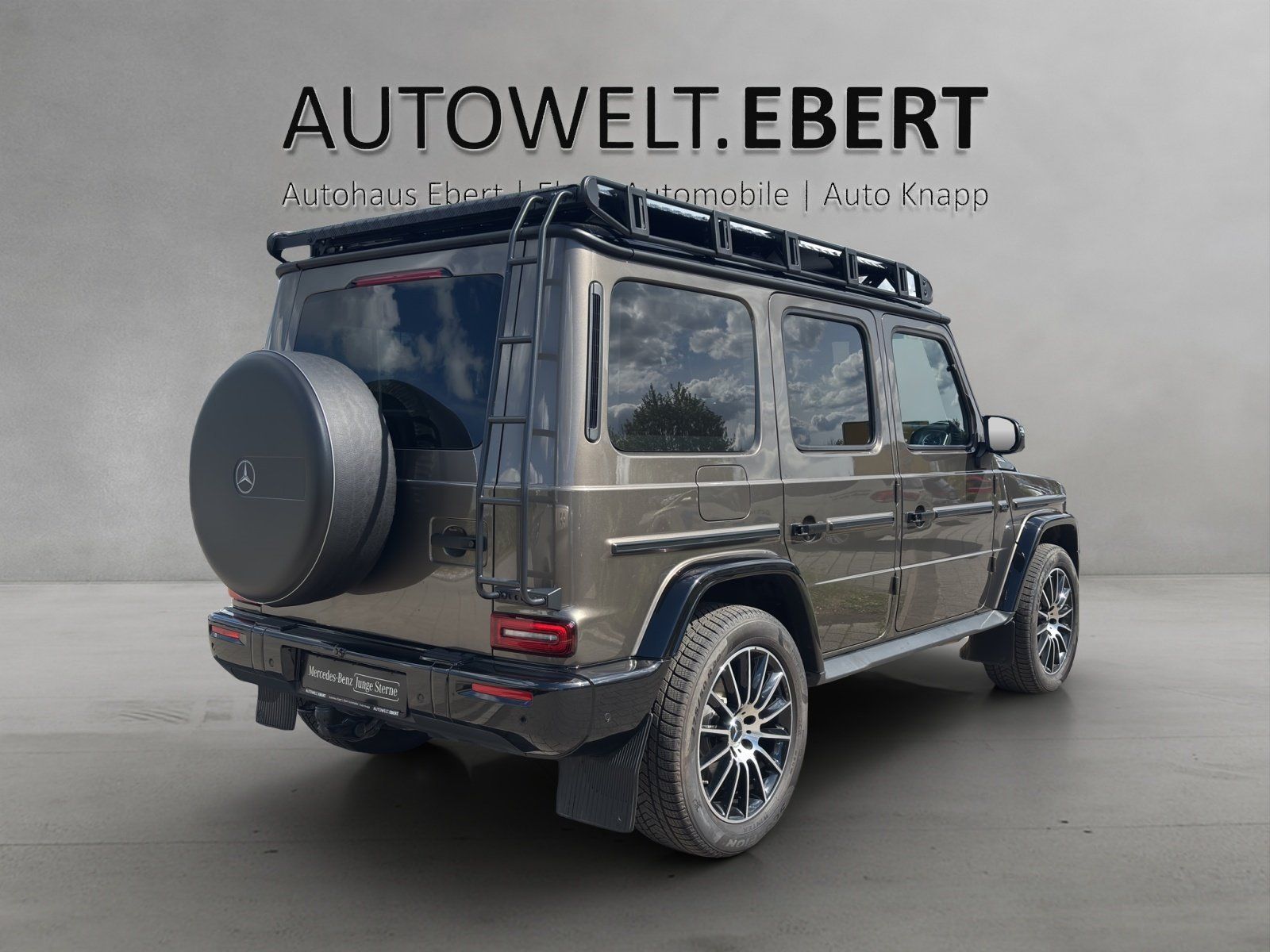 Fahrzeugabbildung Mercedes-Benz G450d Professlo SUPERIOR bicolour AHK Dachträger