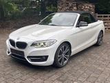 BMW 228 i Sport Line Cabrio LederRot NAVIPROF - BMW 228 aus 2016
