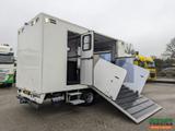 MAN TGL 12.180 4x2 DoKa 7-sitze Euro5 EEV | Pferde - MAN Schlepper 4p1