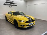 Ford MUSTANG 2.3 ECOBOOST - 50 YEARS MIT SHELBY LOOK! - Ford Mustang: 2.2