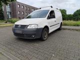 Volkswagen VW Caddy Maxi 1.9 TDI Kastenwagen Allwette... - Volkswagen Caddy Maxi aus 2008