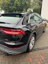 Audi Q8 50 TDI quattro tiptronic - - Audi Q8 in Kassel