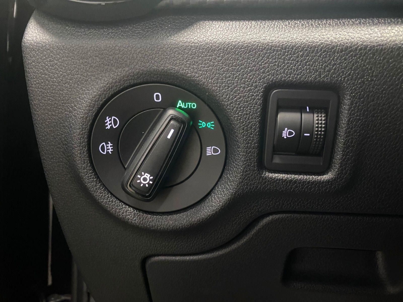 Fahrzeugabbildung SKODA Fabia 1.0 TSI DSG Monte Carlo+KAMERA+Android+ALU