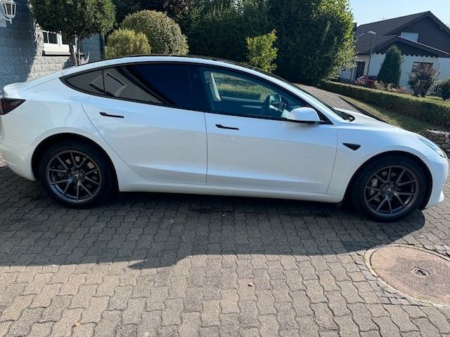 Tesla Model 3 LR / AHK / 8-fach / weiss/weiss / TOP