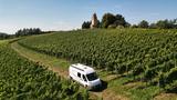 Weinsberg 600 - Offers