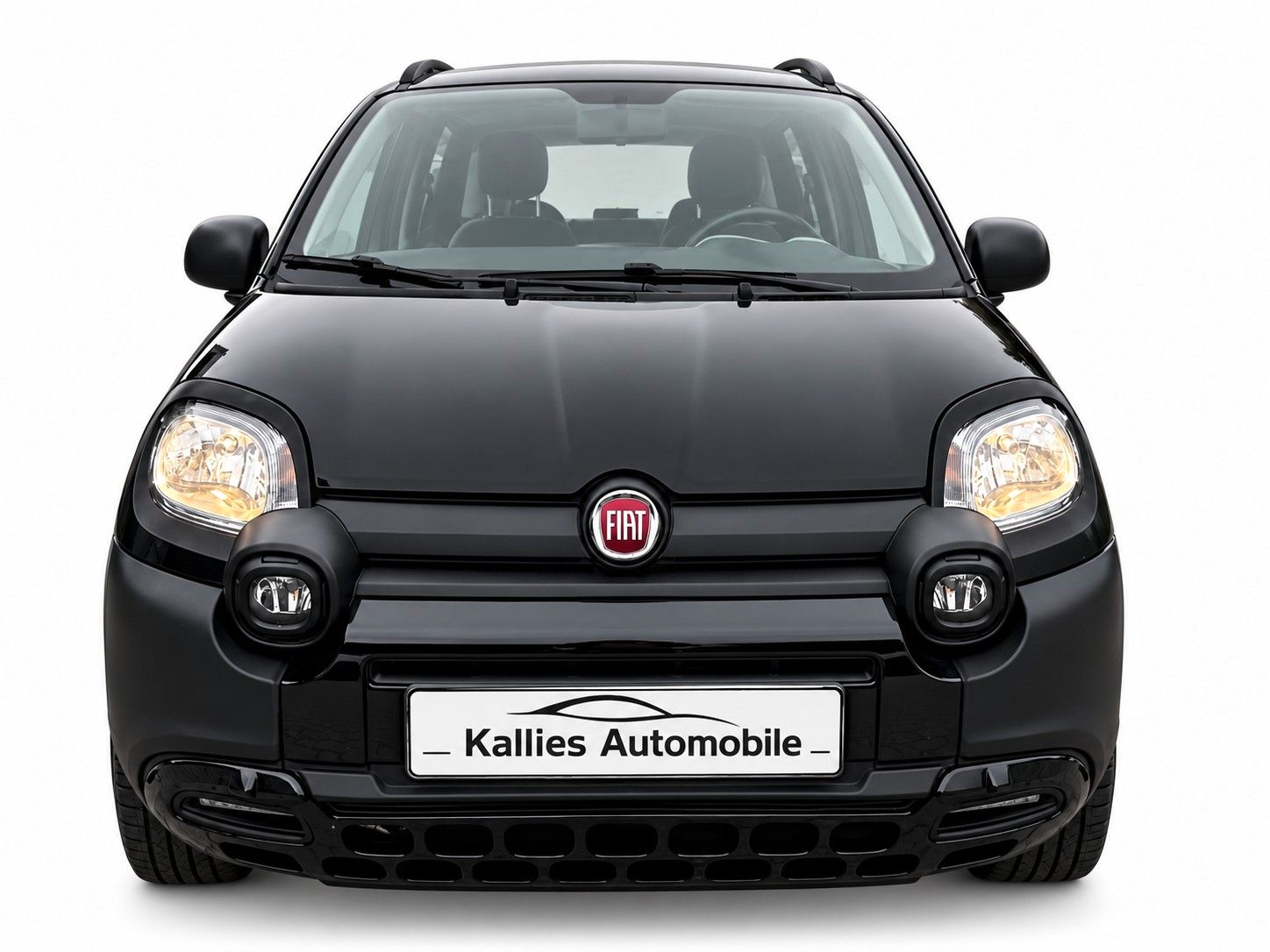 Fahrzeugabbildung Fiat Panda City Cross