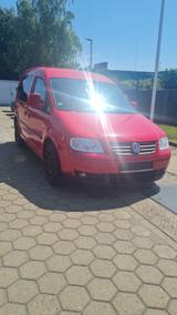 Volkswagen Caddy Life Gewinner Caddy - Volkswagen Caddy: Gewinner