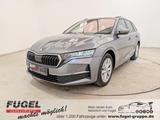 Skoda Octavia Combi 2.0 TDI DSG Selection AHK|ACC|RFK| - Skoda Octavia aus 2024
