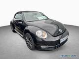 Volkswagen Beetle Cabrio Allstar 1.2 TSI 105PS - Volkswagen Beetle Gebrauchtwagen